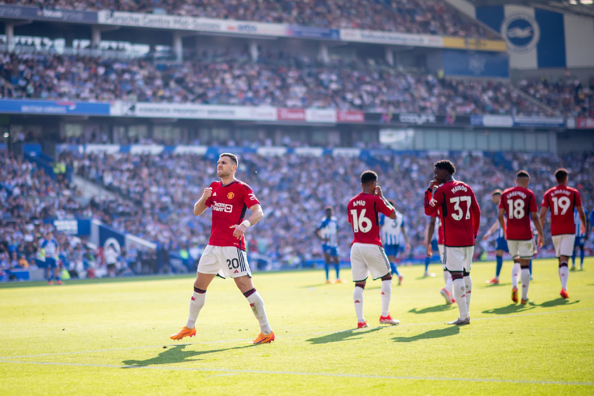 高适应能力 高适应能力